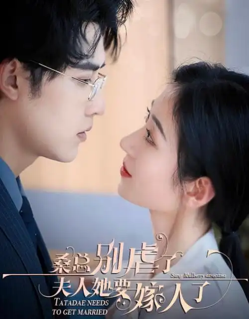 短剧离婚后我成了前夫的白月光封面